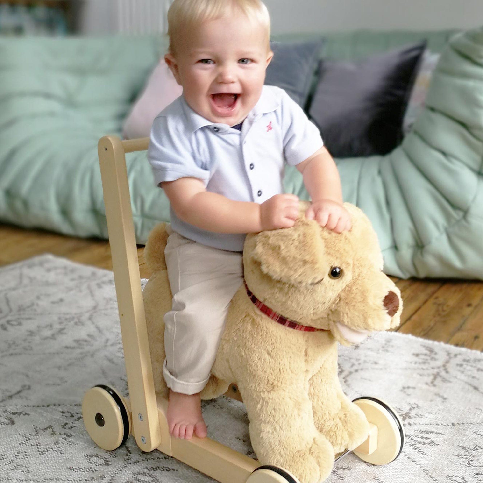Little Bird Told Me Dexter Dog Push Along 12m+ Push Along Toys LB3052 5060205531209