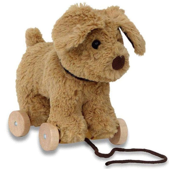 Little Bird Told Me Dexter Dog Pull Along Toy Rocking Horses LB3082 5060205532244