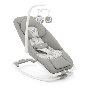 You added <b><u>Joie Dreamer Bouncer in Portrait</u></b> to your cart.