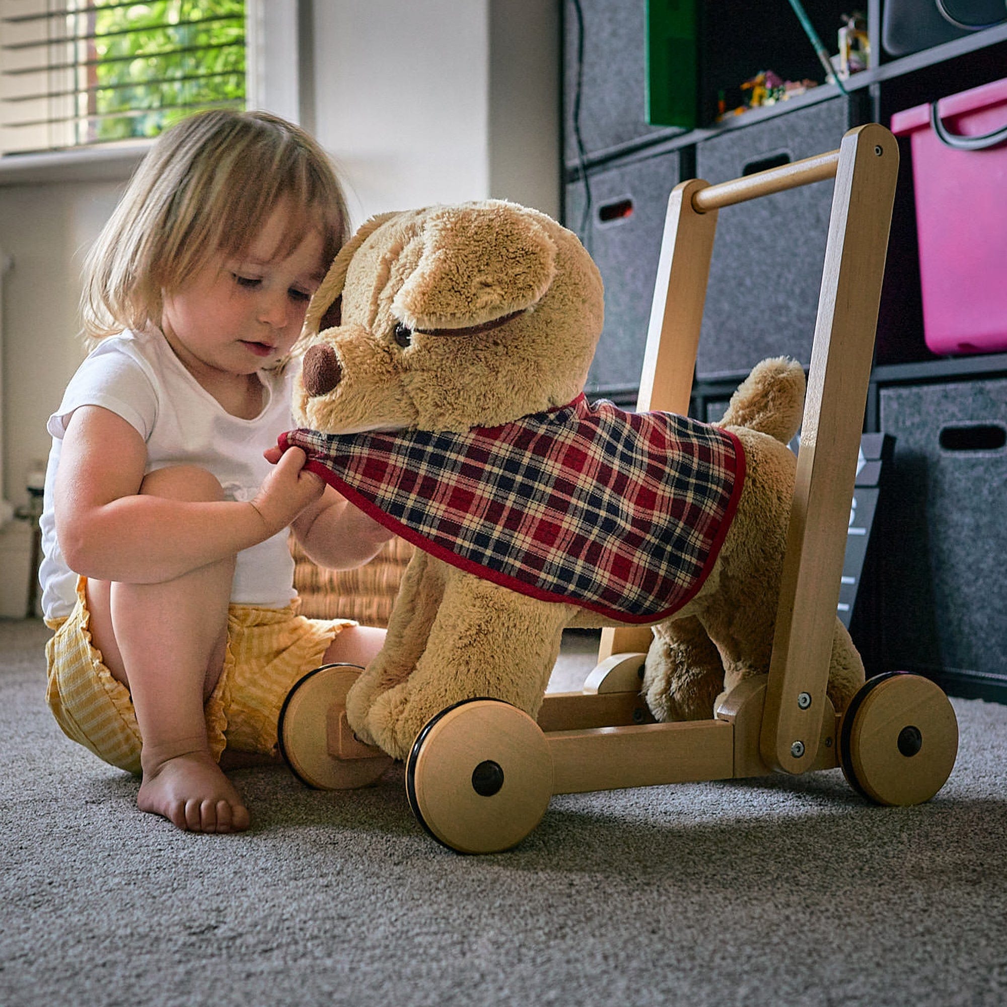 Little Bird Told Me Dexter Dog Push Along 12m+ Push Along Toys LB3052 5060205531209