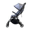 didofy Aster 2 Pushchair in Grey Pushchairs & Buggies DWG2101080102 5060691850686