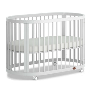You added <b><u>Boori Oasis Oval Cot Barley White</u></b> to your cart.