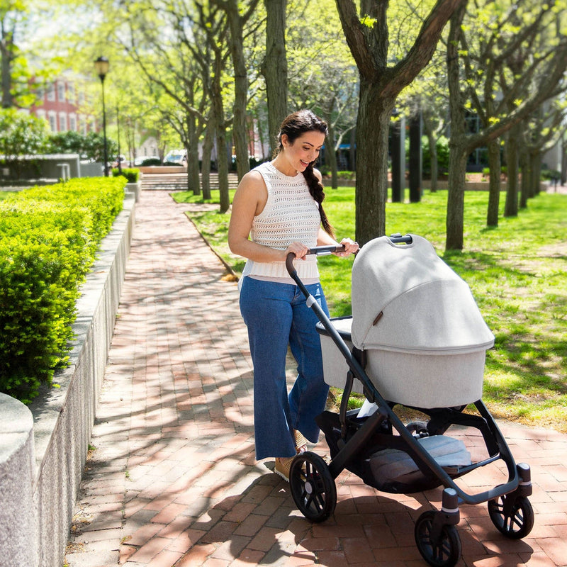 Uppababy Vista V2 Cloud Z2 & Base Travel System Anthony Travel Systems 12438-ANT 0810030096504