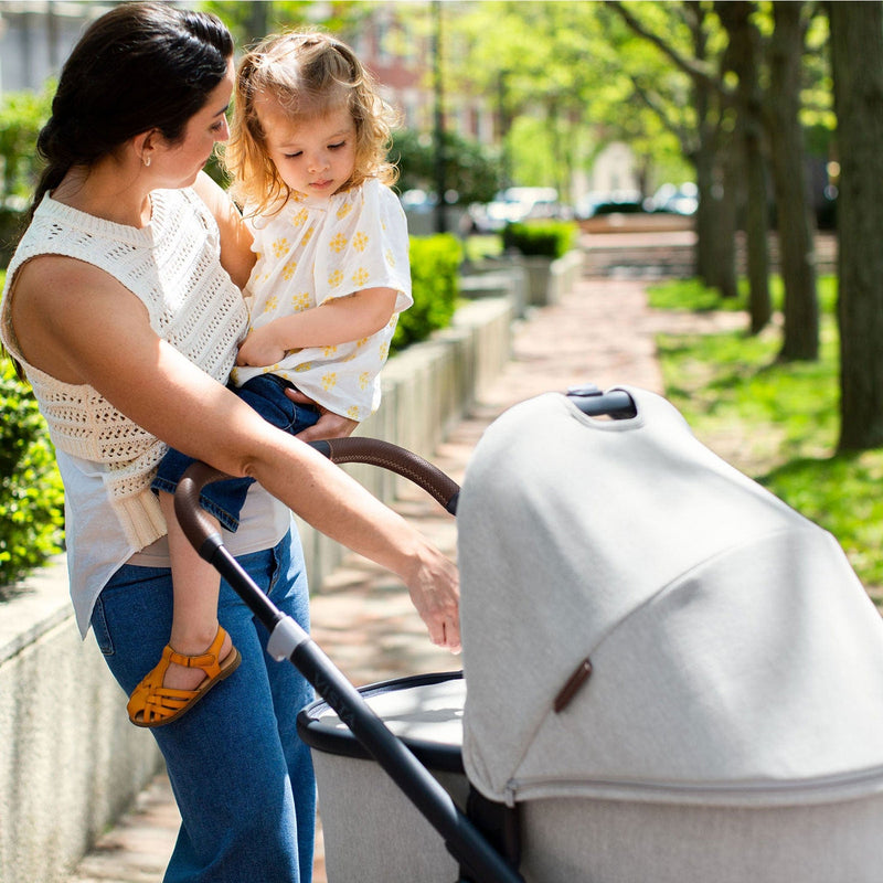 Uppababy Vista V2 Cloud Z2 & Base Travel System Anthony Travel Systems 12438-ANT 0810030096504